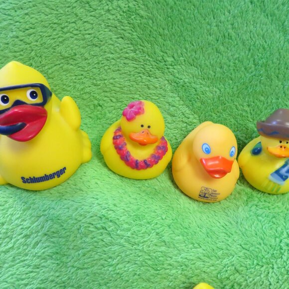 DUCKS In A BUCKET! - Picture 5 of 7